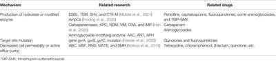 Antibiotic Resistance and Mechanisms of Pathogenic Bacteria in Tubo-Ovarian Abscess
